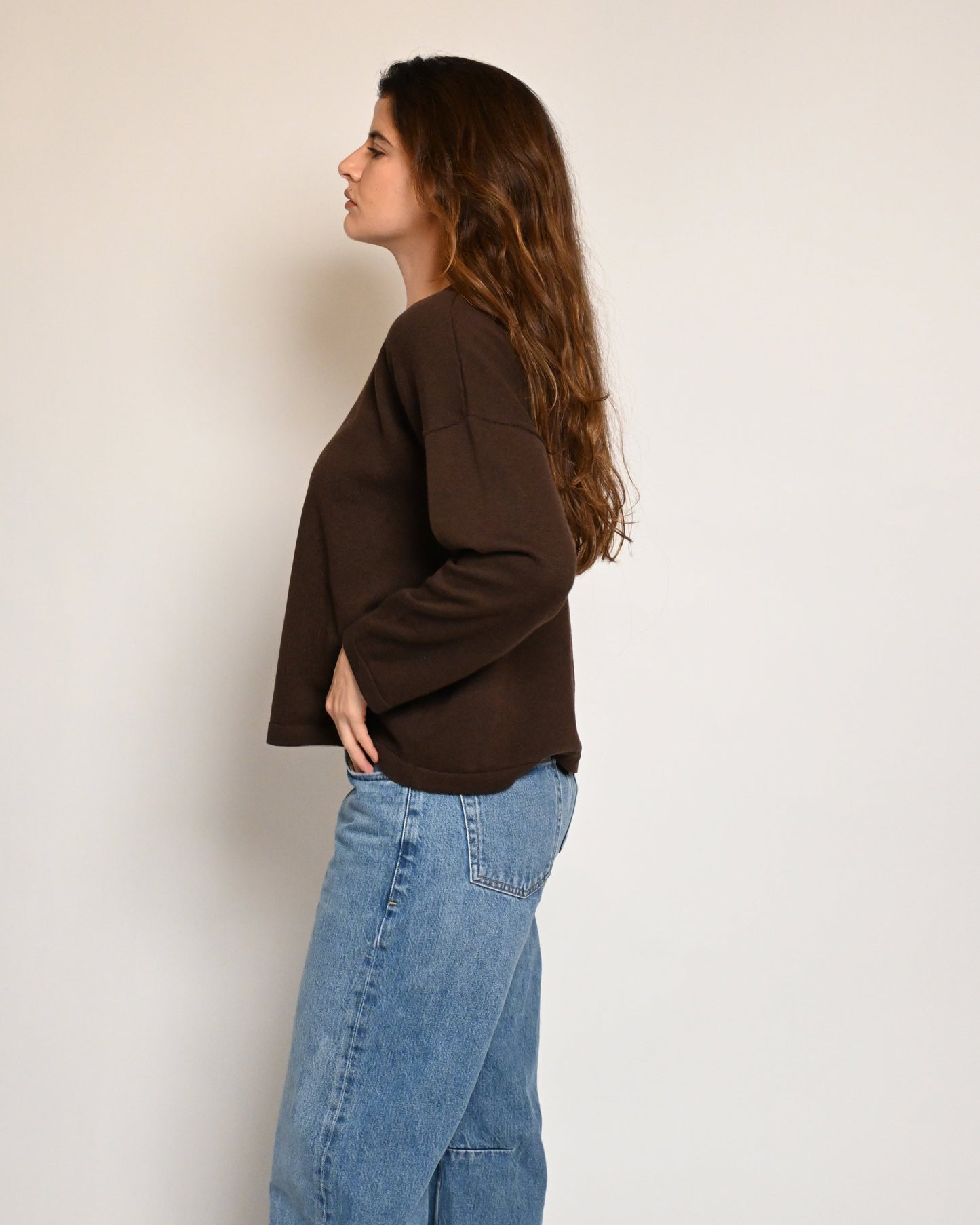 the v-neck pullover