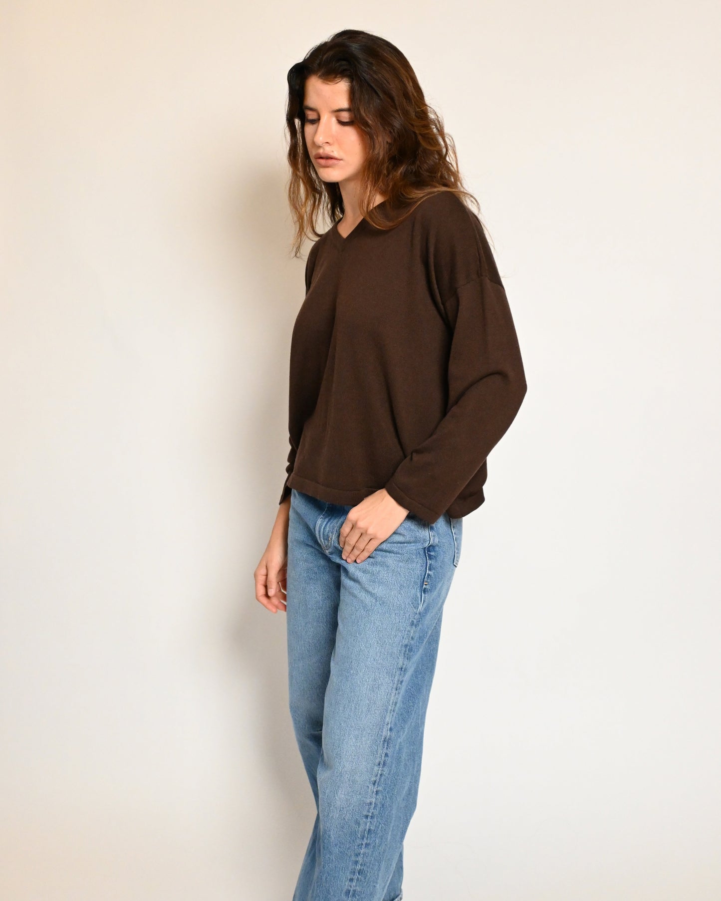 the v-neck pullover